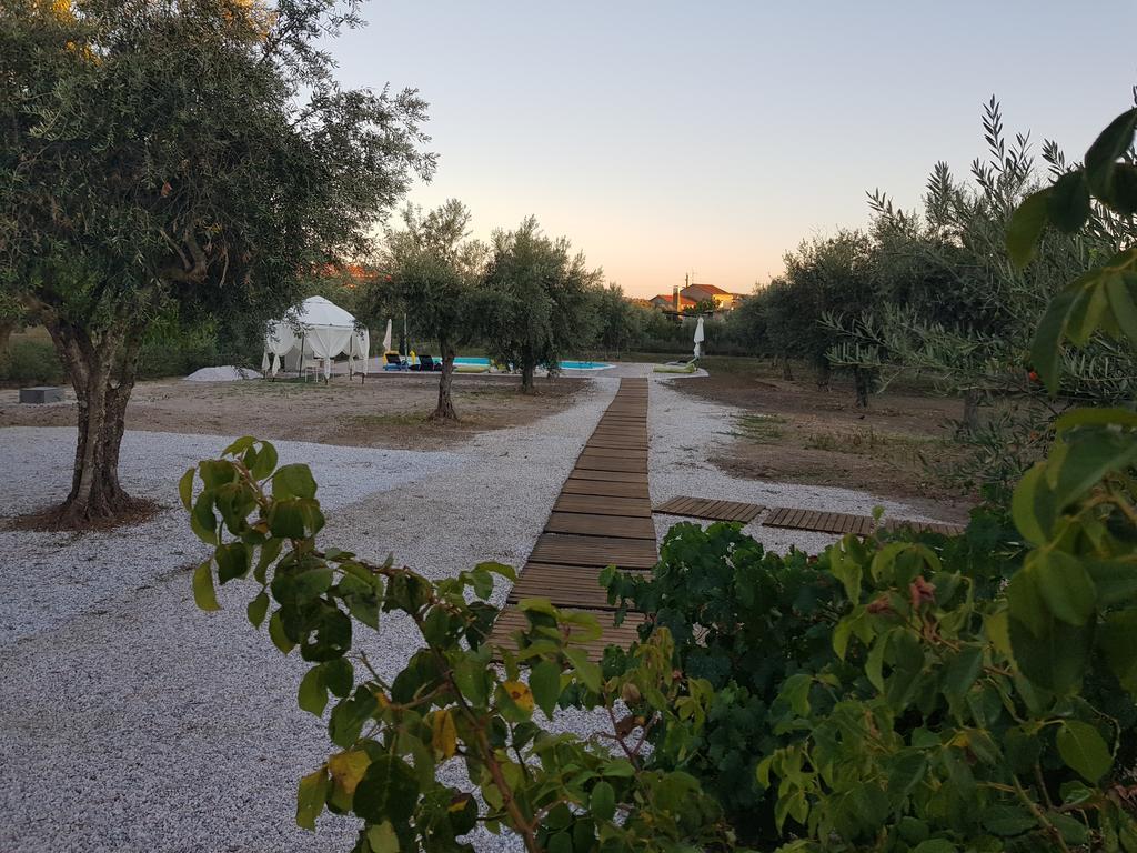 Oliveira Country House Figueira e Barros Bagian luar foto